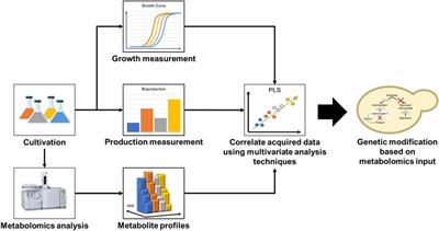 Metabolomics-driven strain improvement: A mini review